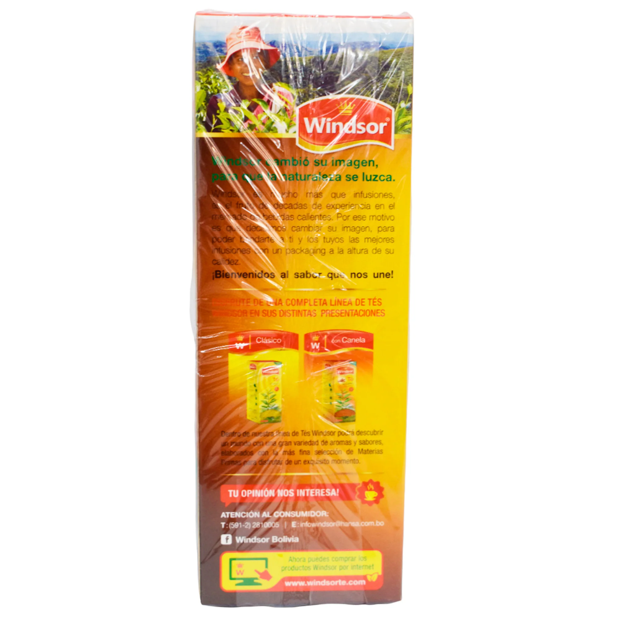 Té Windsor Con Canela Y Clavo De Olor X 50 Unidades - Image 4