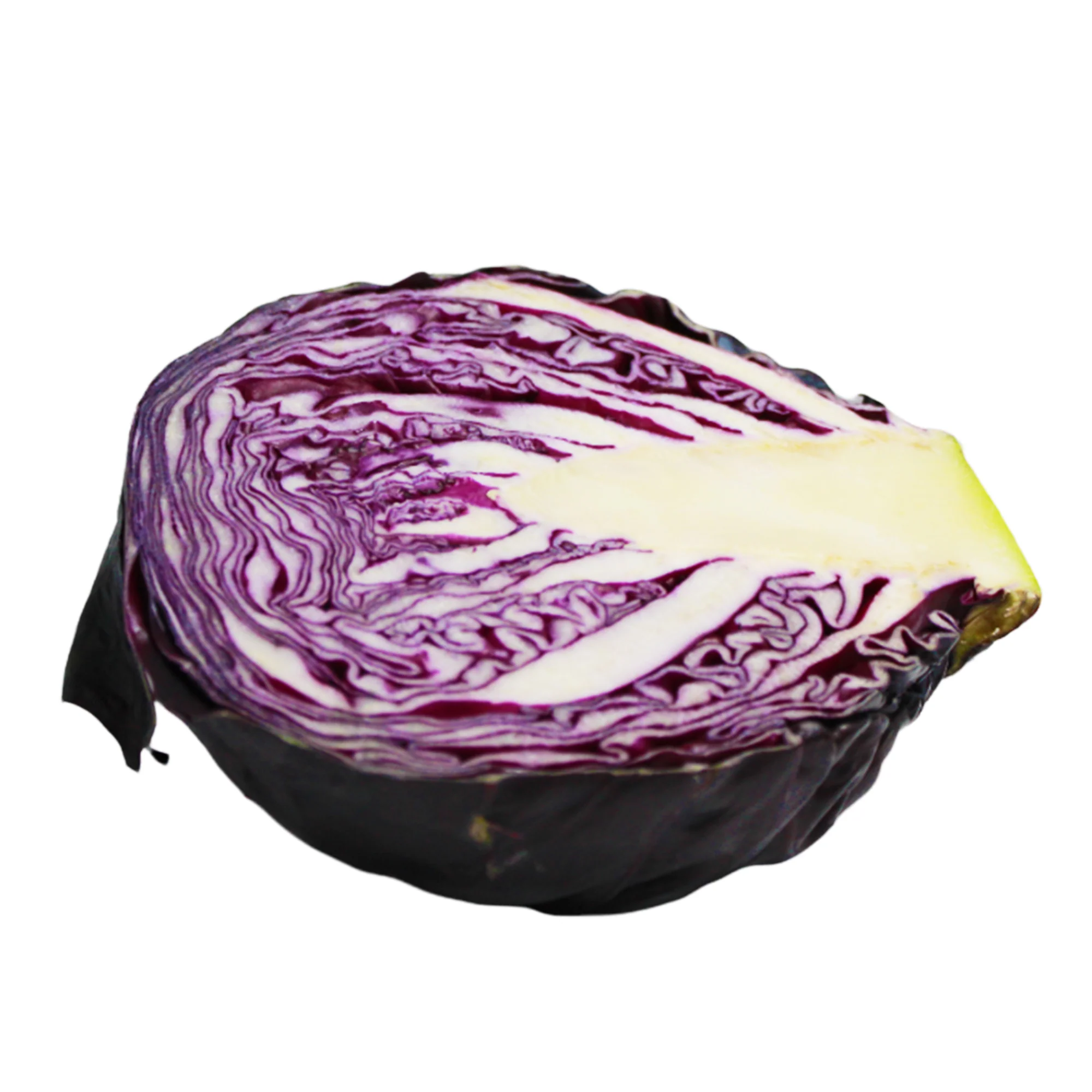 Repollo Morado 500 G Aprox. - Image 4